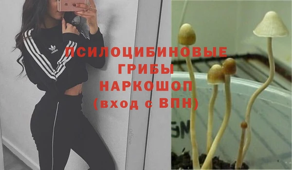 эйфоретик Белоозёрский