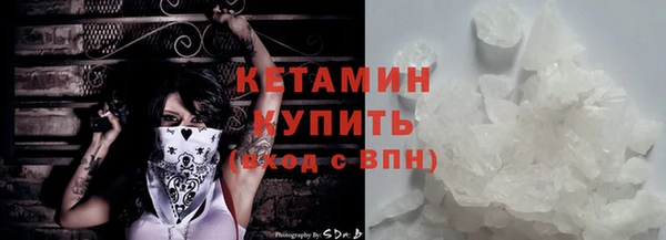 стаф Болотное