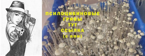 эйфоретик Белоозёрский