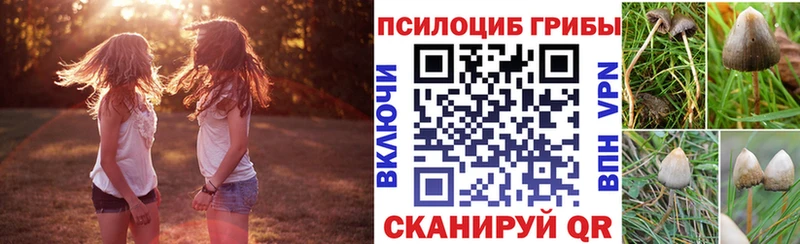 Галлюциногенные грибы Psilocybe  купить наркотик  Вязники 