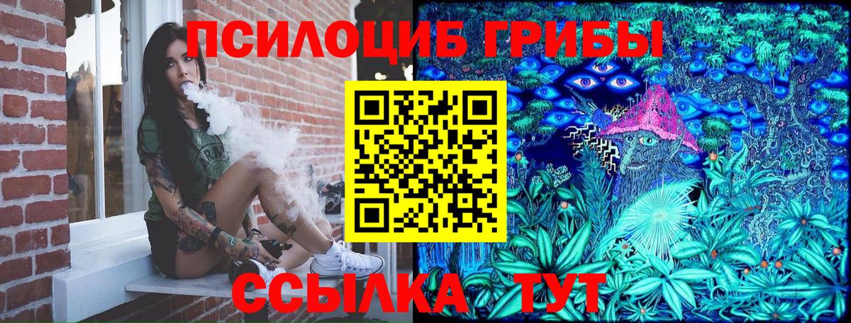 Галлюциногенные грибы GOLDEN TEACHER  Галлюциногенные грибы Psilocybe  Вход с VPN  Вязники 