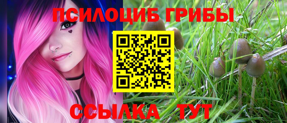 Галлюциногенные грибы мицелий Вязники